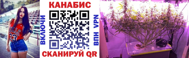 МАРИХУАНА OG Kush  Ильский 